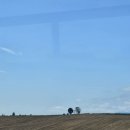 팜스타약국 | 비에이투어 / 쥰페이 메뉴, 후기 / 비에이 약국 추천 / 준도그 삿포로생우유 / 팜토미타 라벤더...