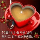 조아조아7080라이브
