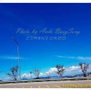 백송식당 이미지