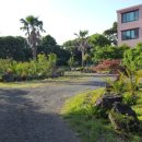 생그루터