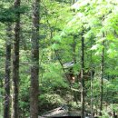 방아다리 이미지