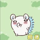 다오엠디 이미지