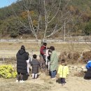 낙서초교병설유치원 이미지