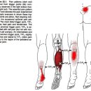 의선한의원 이미지