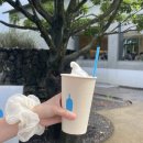 엽이목장 | 제주 동쪽 카페 블루보틀 내돈내산 후기