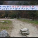 평택정도관 | 천진암성지