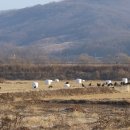 경기도 북부야생동물구조관리센터 이미지