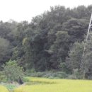 전대1리마을회관 이미지