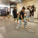 용인대NEW복싱 이미지