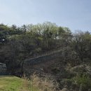 운주산 등산로 이미지