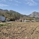 석천농로 이미지