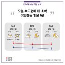 2022. 11. 25 (금) ★출석★ 이미지