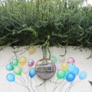 대동하늘정원 이미지