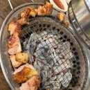 꼼장어 본부