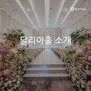 단아홀 네이버블로그
