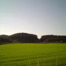 하촌1리 이미지