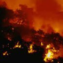 광산초등학교 이미지