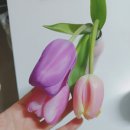 샘터화장품 | 안녕하세요 김결입니다 ✨