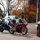 자산공원(빠삐용관) 이미지