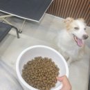 무크스페이스 이미지