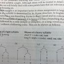 narrow/schwa short vowel/sea branching/arduous/venezuela/unstressable ult 이미지