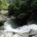 구룡약품 Daum카페