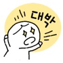 초코셀디
