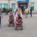 교동면-2 이미지