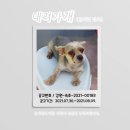동명동 주민센터 이미지