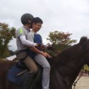 은해로운 캠핑장 이미지