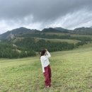 (주)제이온제이 | [일상] 28.10살 해외영업 직장인의 일상공유_몽골여행,홍대/목동lp바,이태원모로코코카페,계곡돌담집...