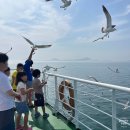 북도면신도바다역 관광안내소 | 인천에서 장봉도 가는 길 삼목항에서 섬 내 버스 시간