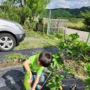 율이리농장 이미지