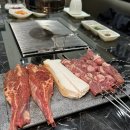 수정남로 | 태평역맛집 가성비 최고 잡내 없이 제대로였던 양심정양갈비 솔직후기