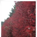 탐라대학교 이미지