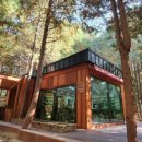 숲속도서관 이미지