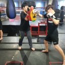 크로스핏 군산 이미지