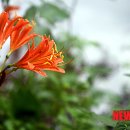 백양농장 이미지