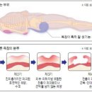간병투게더 이미지