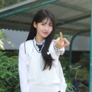 시현 이미지