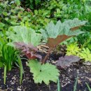 대황약국 이미지