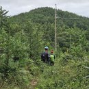 팔봉초등학교 이미지