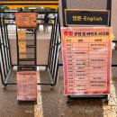 안성 | 가을 안성 팜랜드 후기 핑크 뮬리와 먹이주기 체험까지!