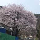 (주)대천향료 네이버블로그