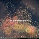 축제_L | 2025 서울세계불꽃축제 후기 [여의도 불꽃축제] l 명당자리, 꿀팁