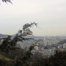 편백나무아래 이미지