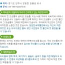 장흥 1리 | [양주 장흥유원지] 서울근교 나들이, 장흥 가볼만한 곳, 대중교통으로 장흥 가기!