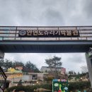 쥬라기별빛쉼터 이미지