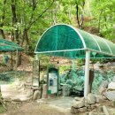 신선약수터 이미지