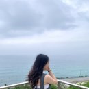 동해-단속-32 이미지